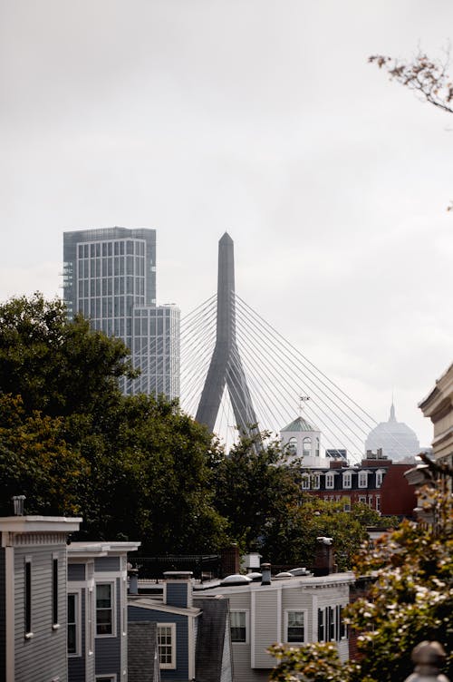 고층 건물, 다리, 도시의 무료 스톡 사진