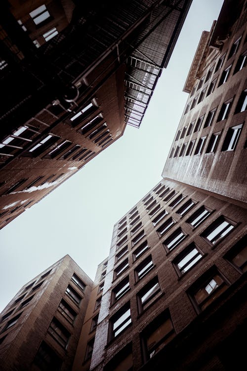 Безкоштовне стокове фото на тему «Будинки, вертикальні постріл, високий»