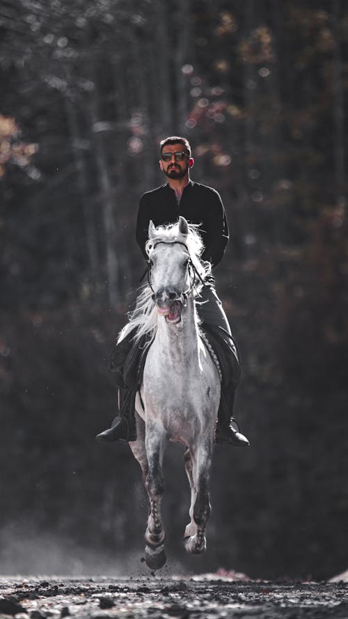 Man in Black Riding on White Horse