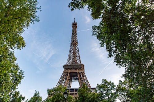 View of the Eiffel Tower between Tree Branches, Paris, France