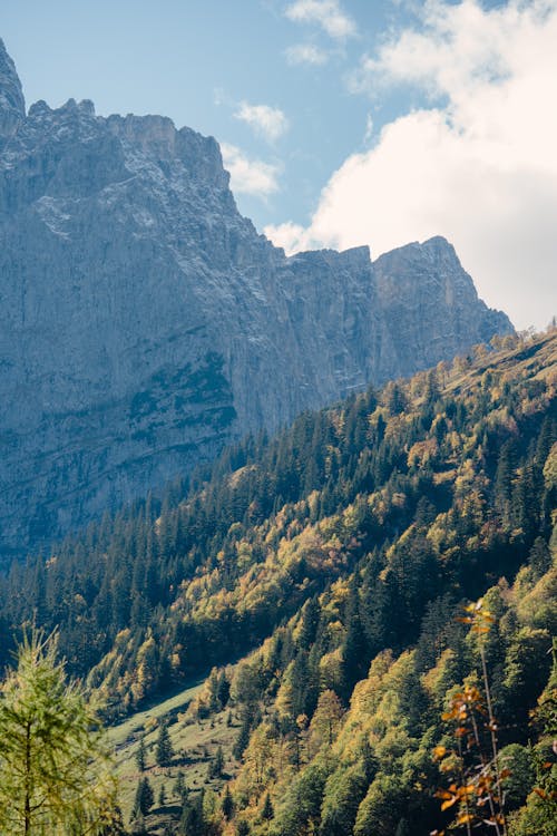 Fotobanka s bezplatnými fotkami na tému drsný, hory, jeseň