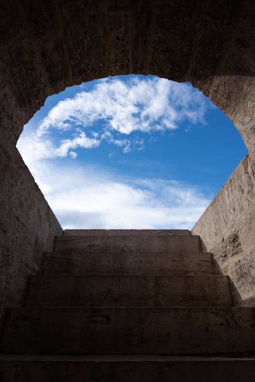 Imagine de stoc gratuită din cer albastru, fotografiere verticală, ieșire