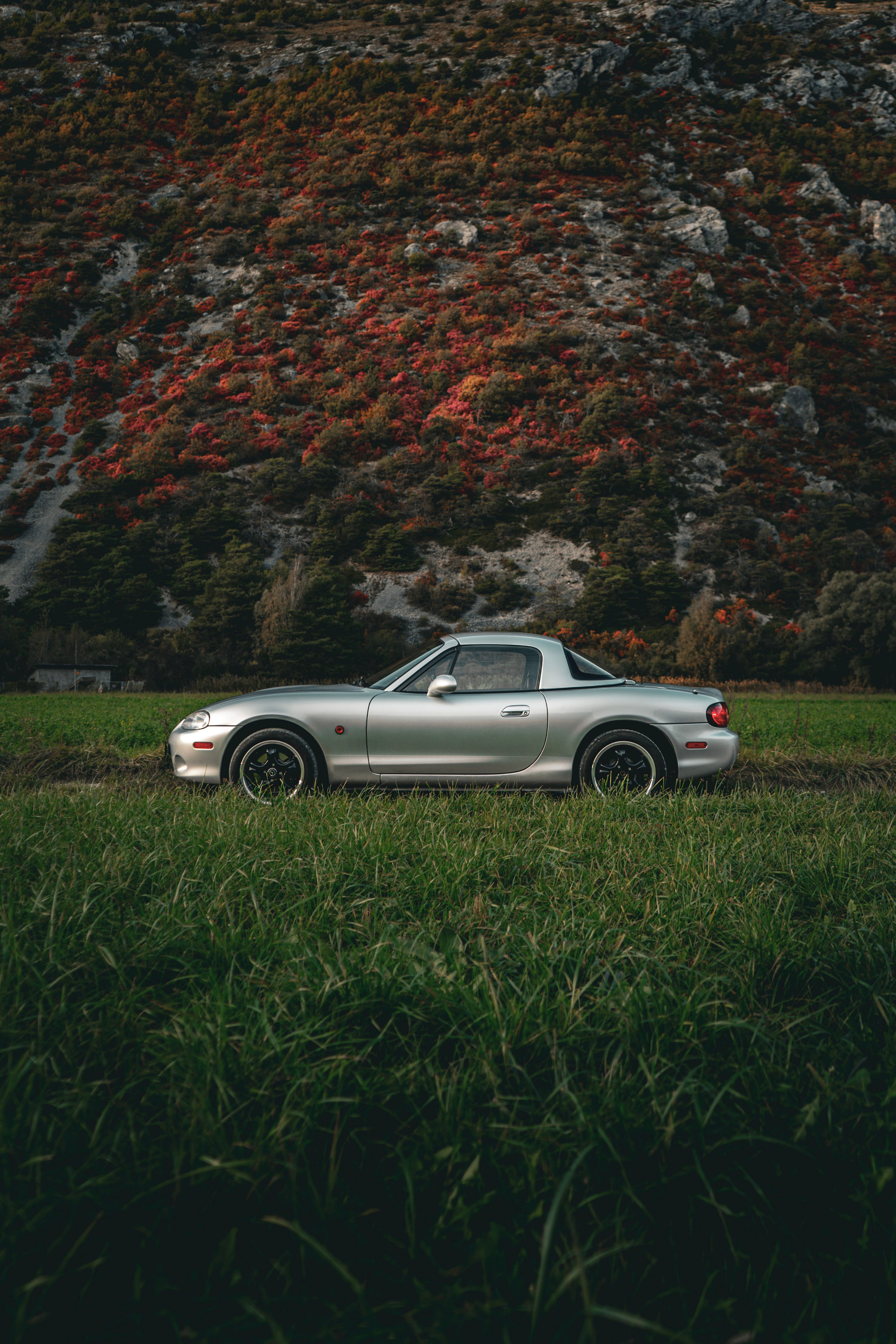 Silver convertible car parked in a lush green field against a mountain backdrop during fall.