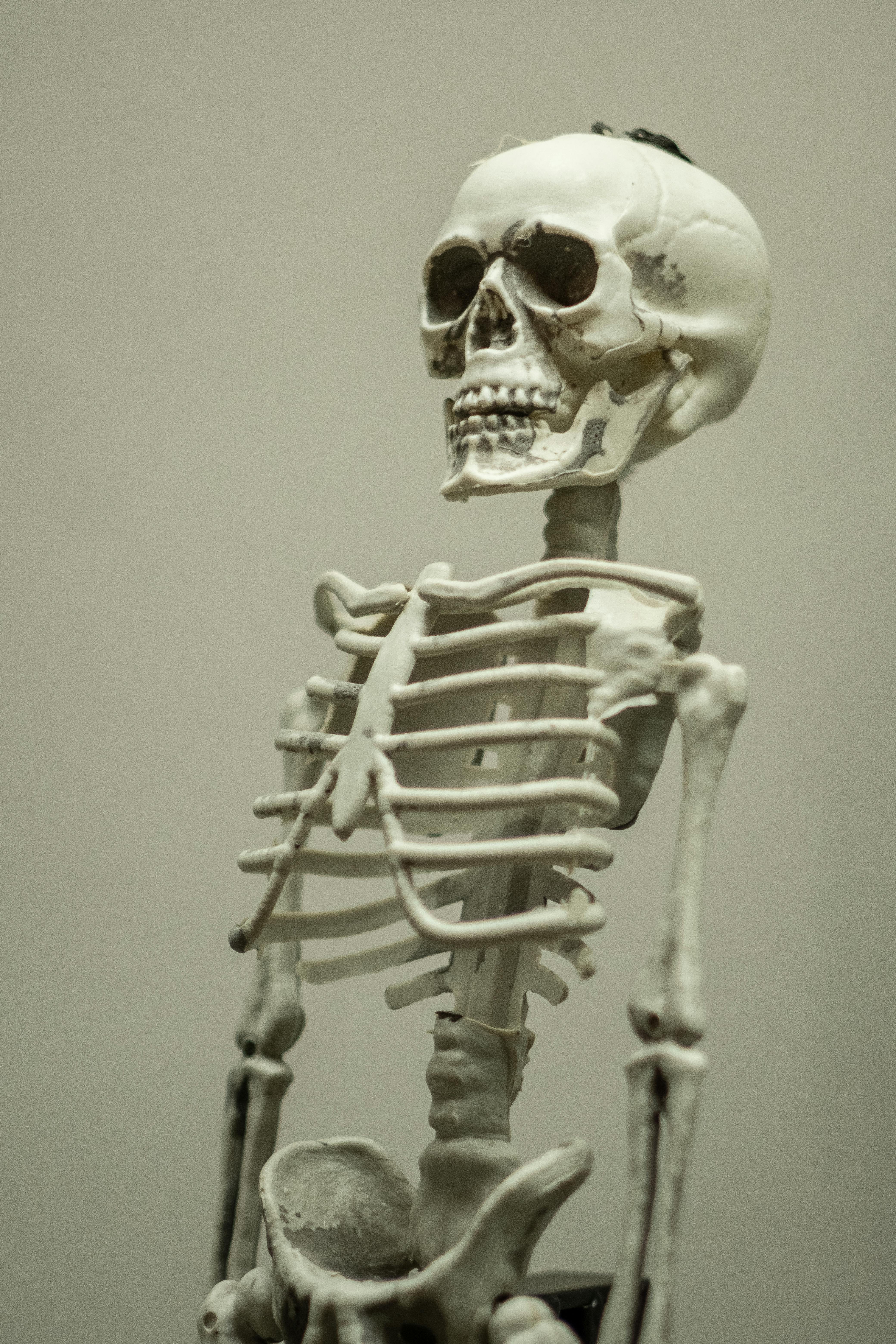 A Full Skeleton (Prop)