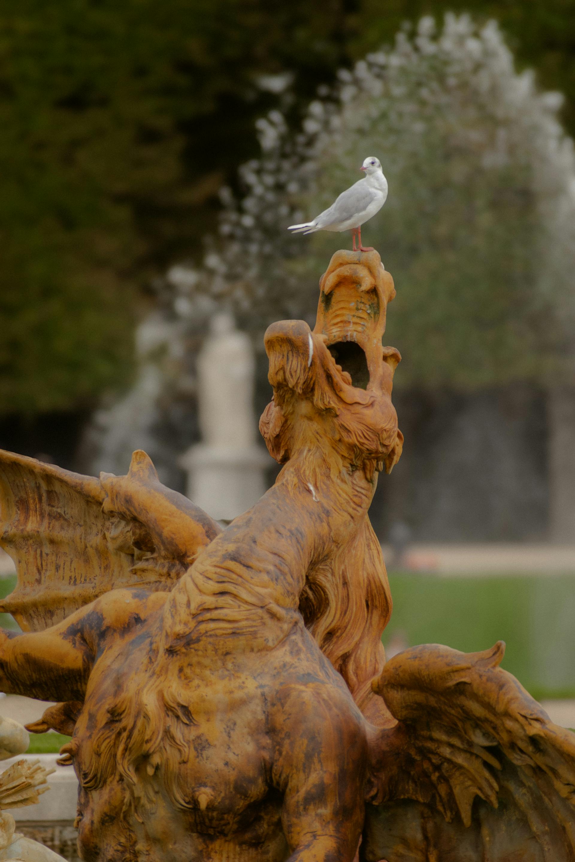 Pertama Kali Menginjakkan Kaki di Kebun Naga yang Luas Membentang