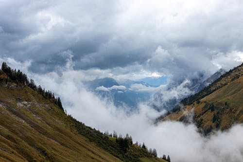 Scenic Panorama with Clouds Filling a Mountain Canyon