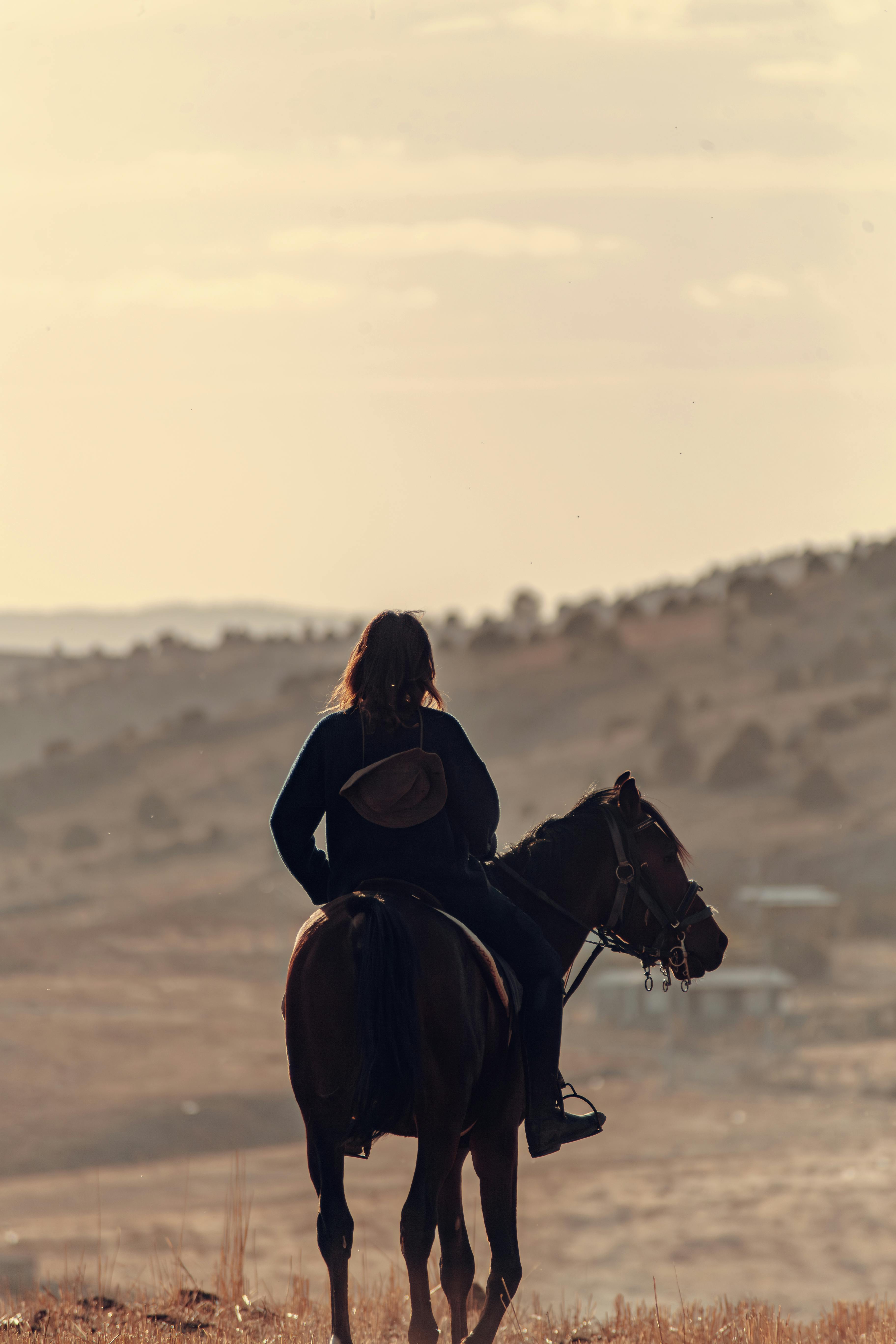 Back of a Woman Horseback Riding at Dusk · Free Stock Photo, image size:3648x5472