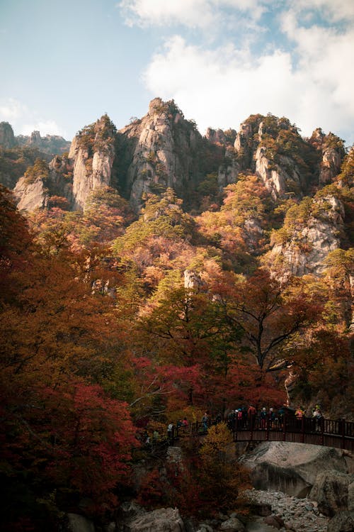 Tourist on Footbridge in Park with Rock Formations