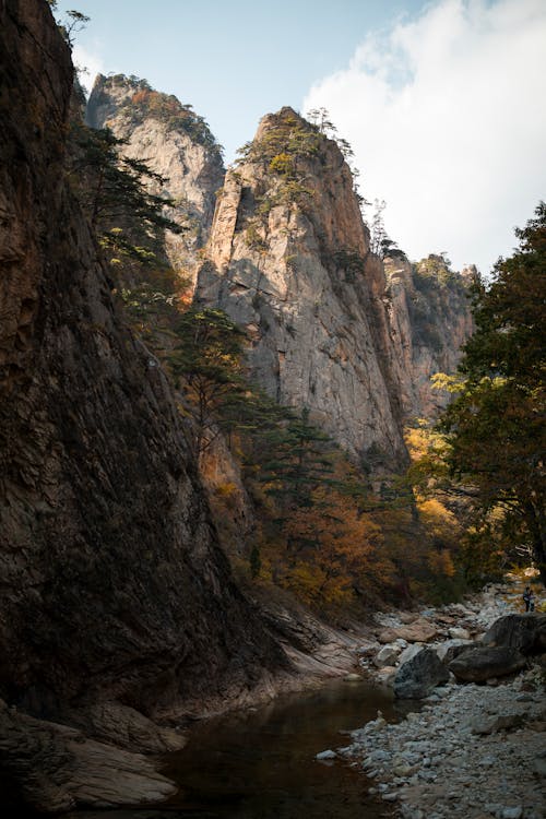 Riverbed in the Canyon