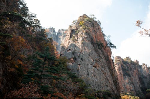 Photos gratuites de abrupt, arbres, chaîne de montagnes