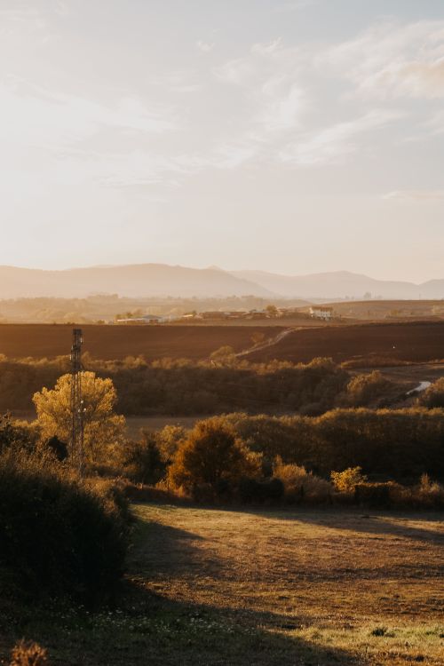 Free Golden hour light casting warm hues over a tranquil countryside landscape with rolling hills and trees. Stock Photo