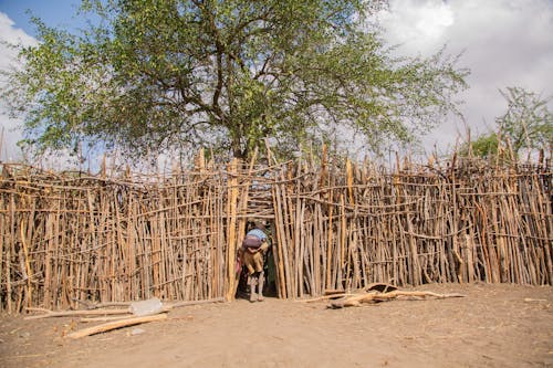 Man Carrying a Child on His Back Walking Through a Narrow Low Entrance in the Fence of an African village