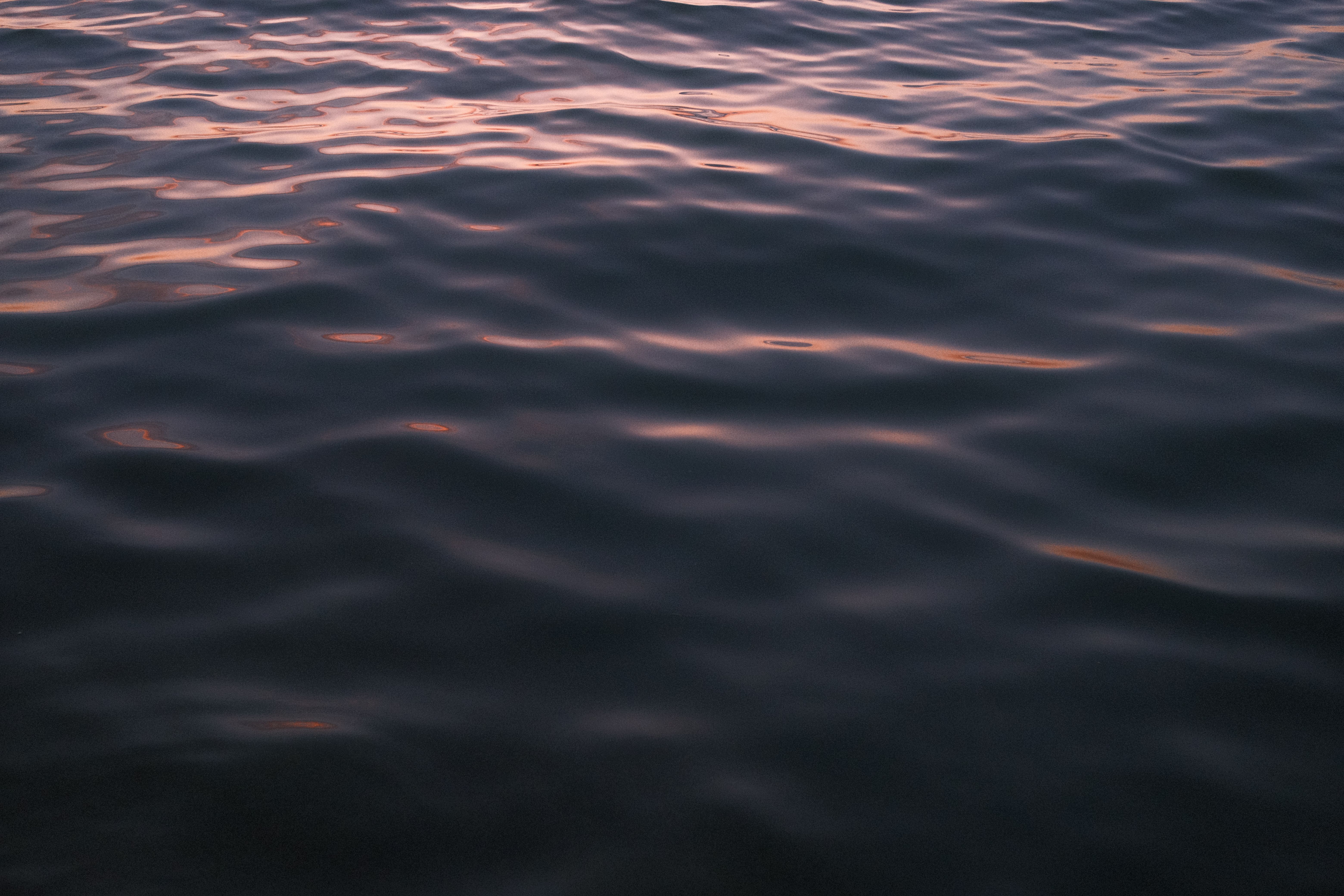 Undulating Dark Ocean Surface · Free Stock Photo