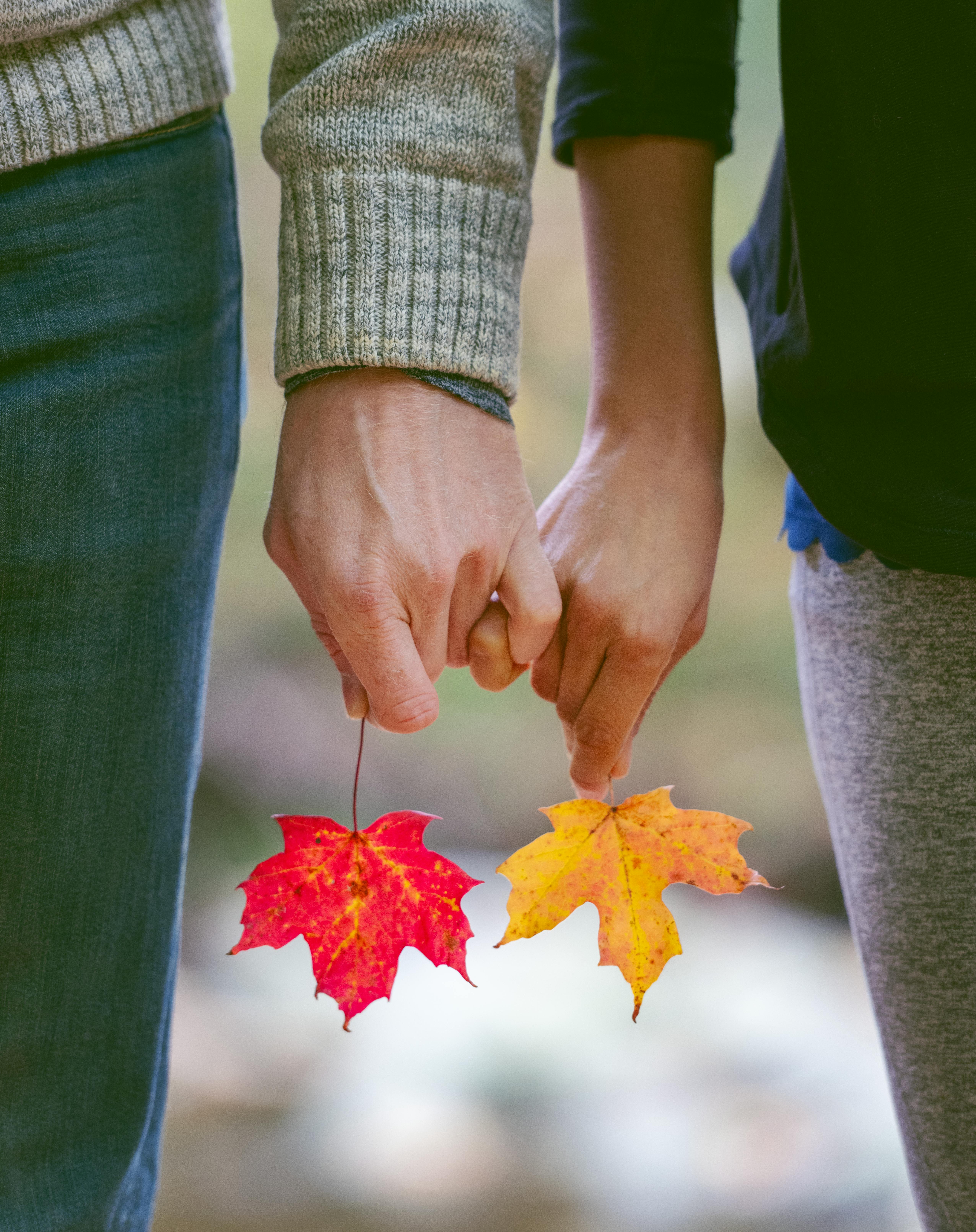 A couple holds colorful autumn maple leaves, symbolizing love and season in Toronto park.