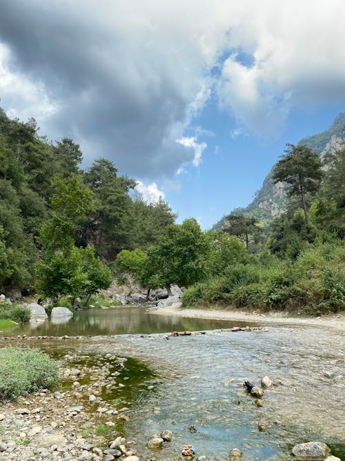 Stream in a Mountain Valley