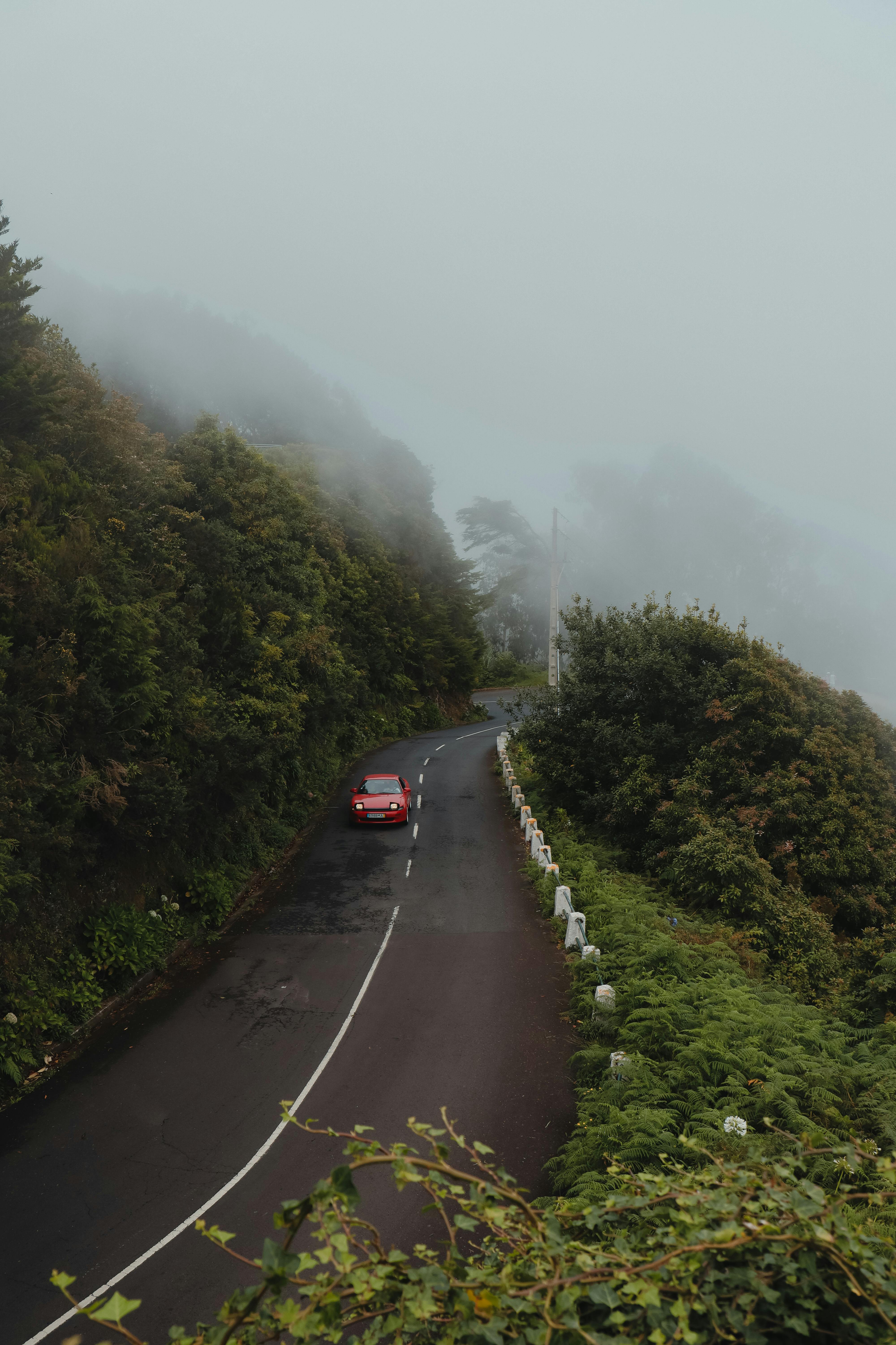Red car navigating misty forest road, capturing serene travel vibes in a scenic natural setting.