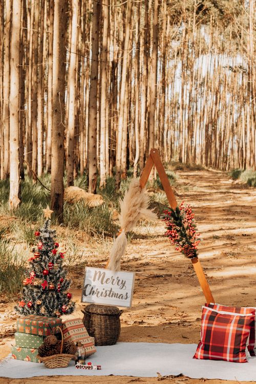 Free Charming Christmas setup in a São Paulo forest with gifts and decorations. Stock Photo
