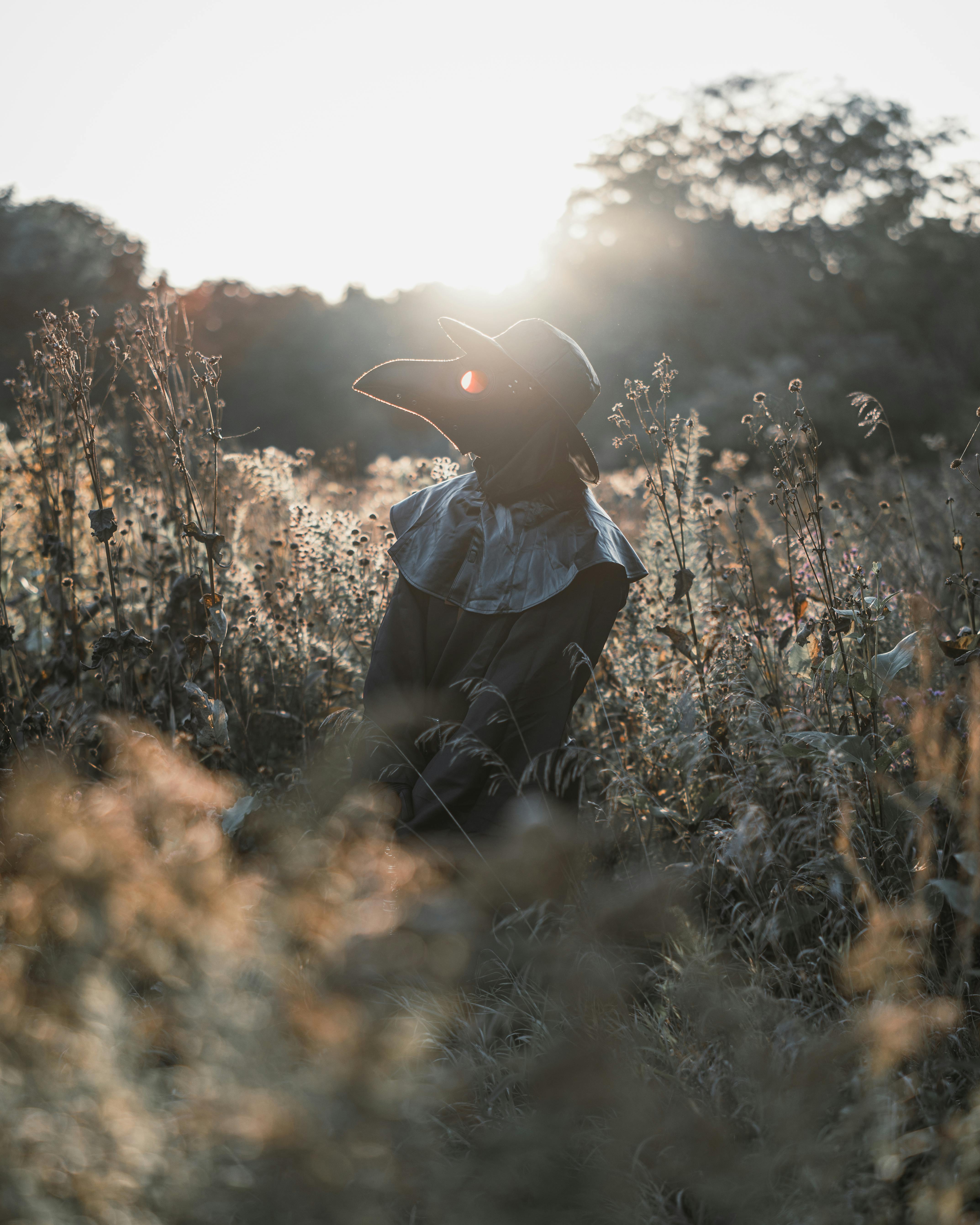 person in plague doctor costume standing in hayfield