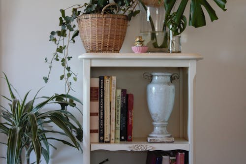 bitkiler, dekorasyon, ev bitkileri içeren Ücretsiz stok fotoğraf