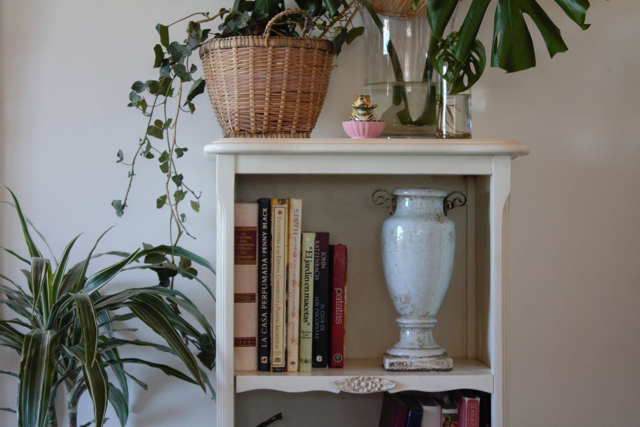 how to style a bookshelf: a wooden shelf with books, houseplants, and decor items