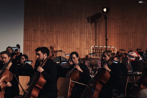 Fotobanka s bezplatnými fotkami na tému cellista, čelo, hranie