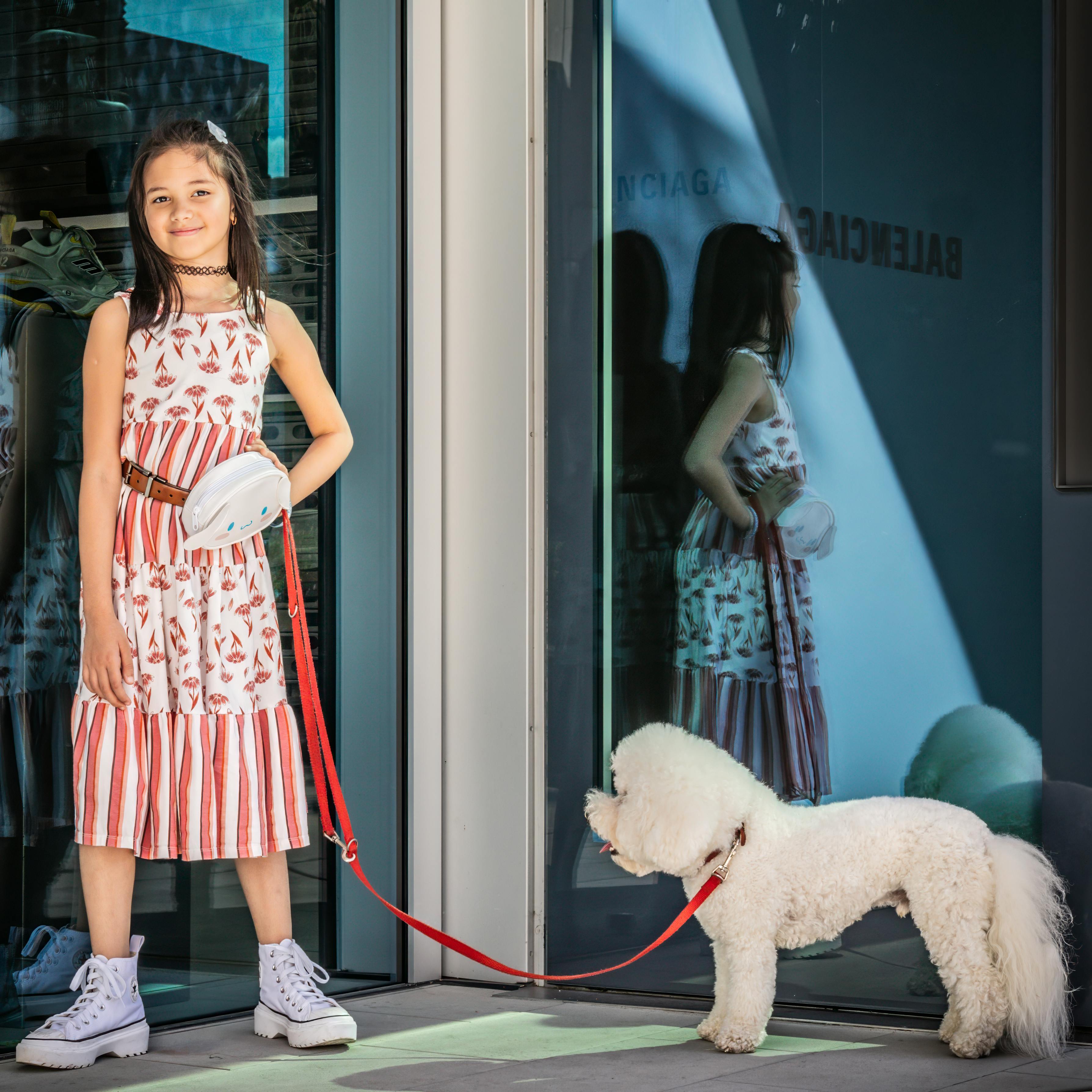 little girl taking a walk with her dog