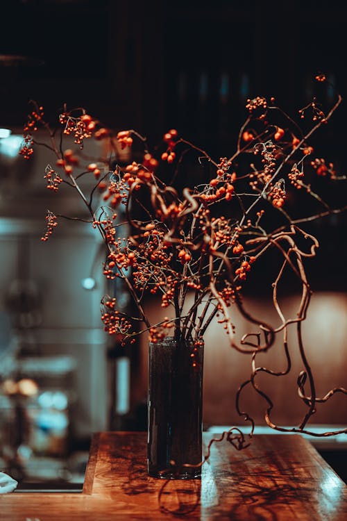 Darmowe zdjęcie z galerii z czerwone jagody, dekoracja, drewniany stół
