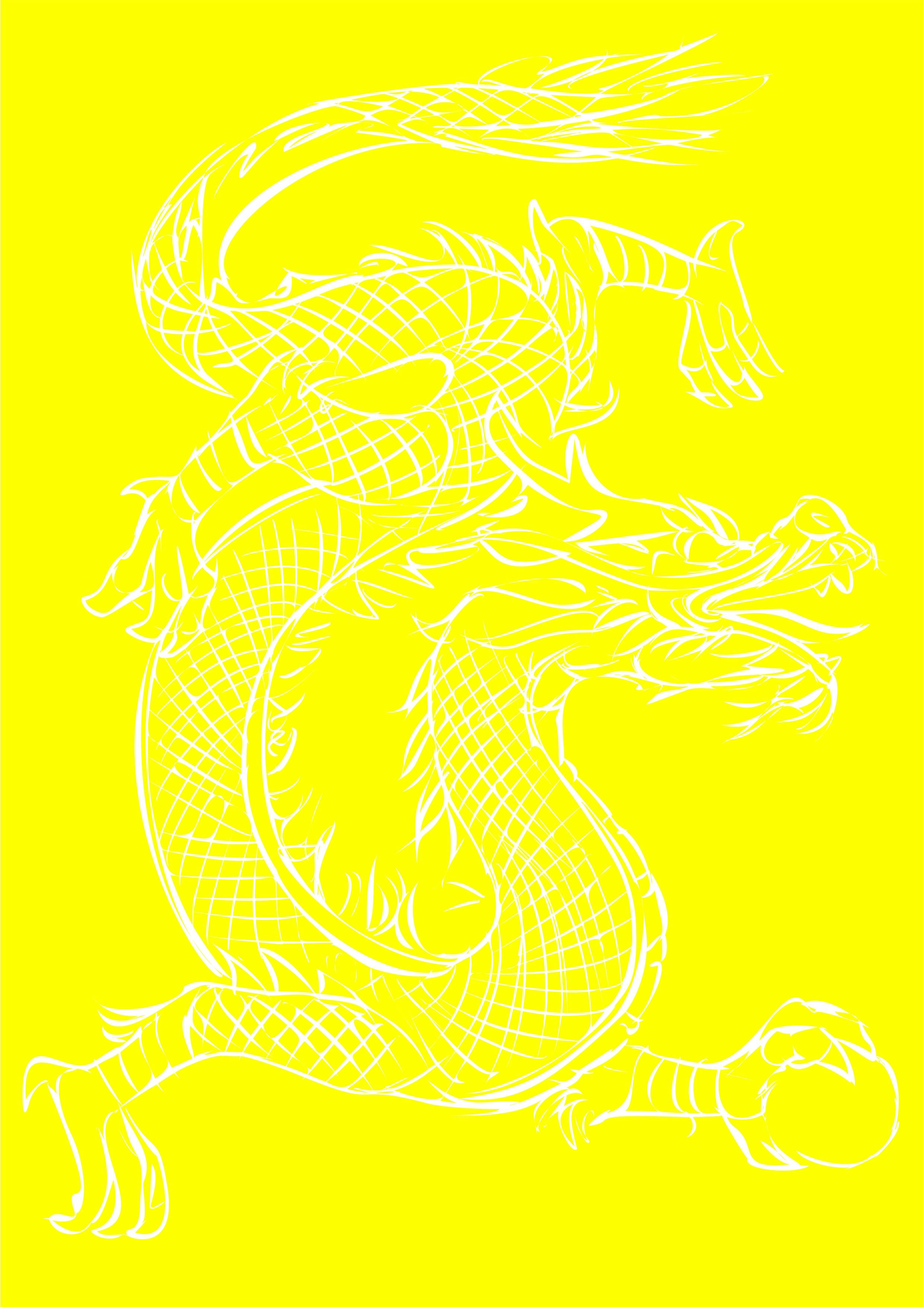 Free stock photo of dragon, sketch