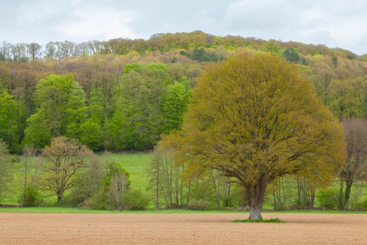 Tourouvre au Perche