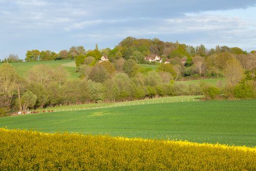Mortagne-au-Perche