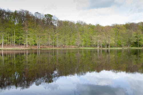 Darmowe zdjęcie z galerii z drzewa, głęboki, jezioro