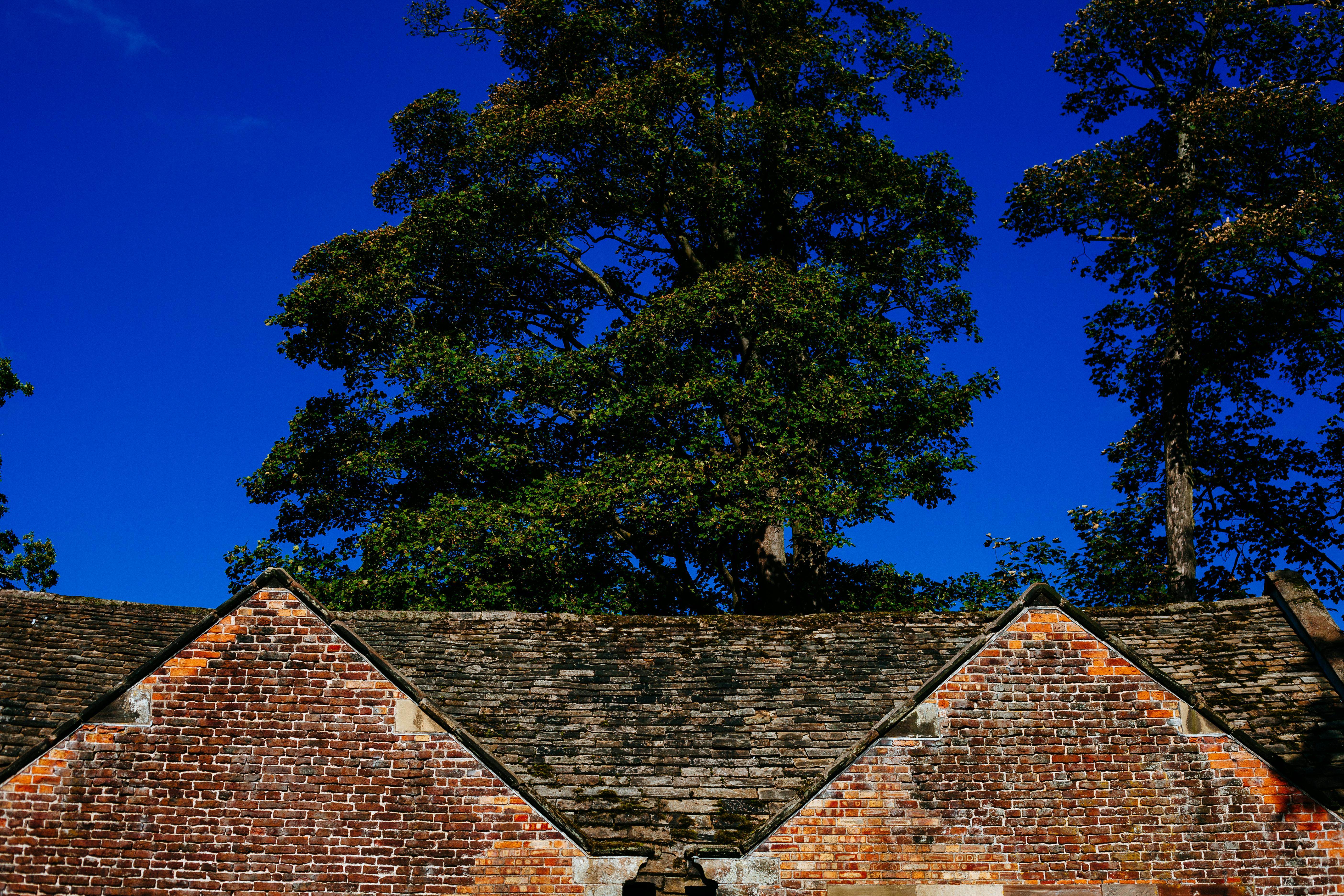 Square Oaks Home Improvement: DIY mistakes — Photo by Little Visuals on Pexels