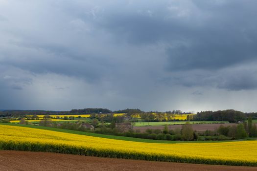 Mortagne-sur-Sèvre