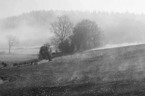 Black and White Photo of a Countryside Landscape in Fog 
