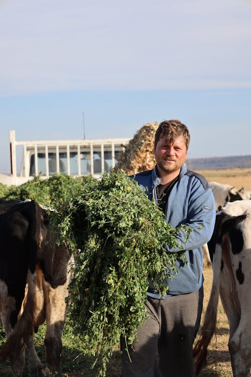 Ingyenes stockfotó farm, farmer, Férfi témában