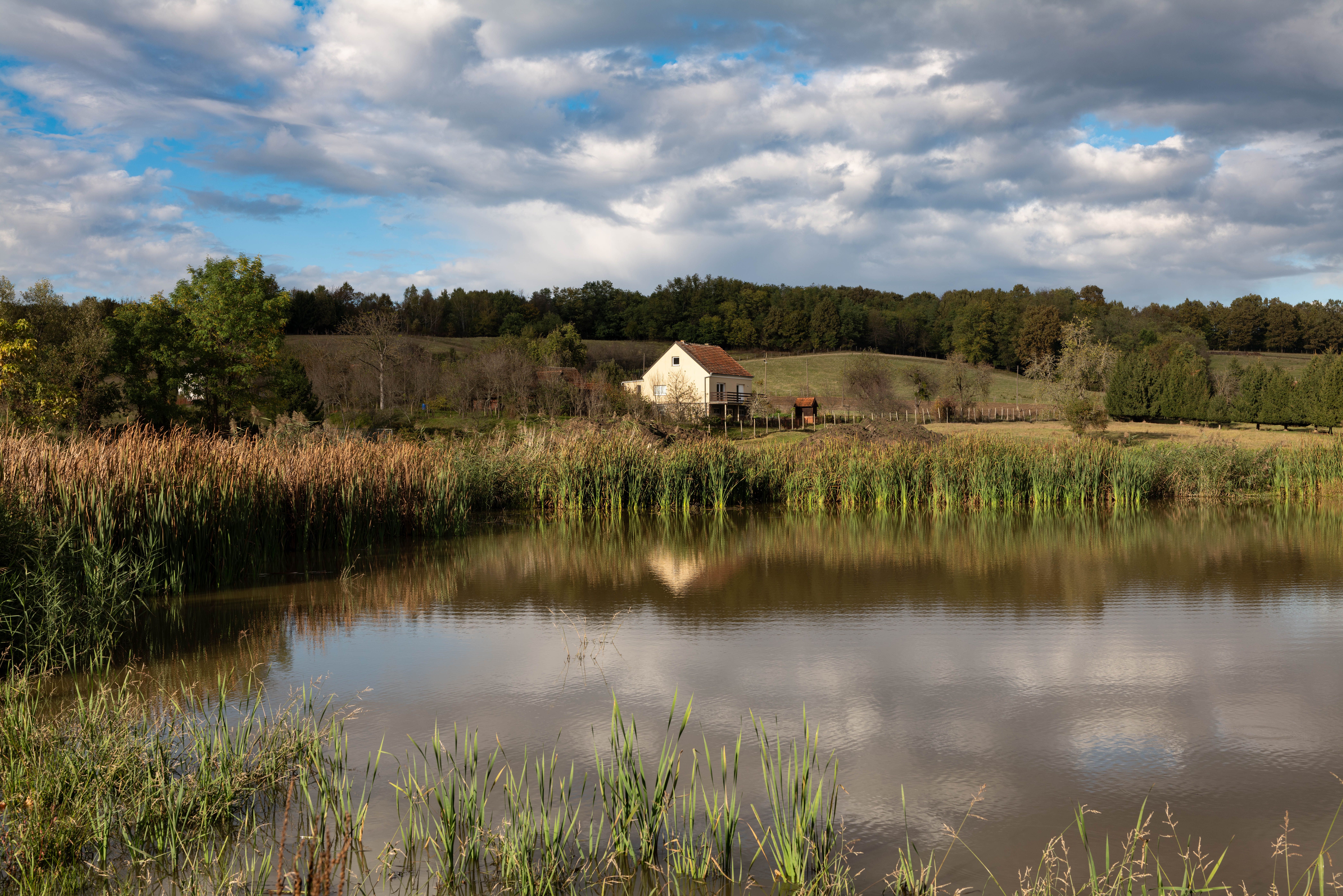 Photos gratuites de agriculture, arbres, architecture
