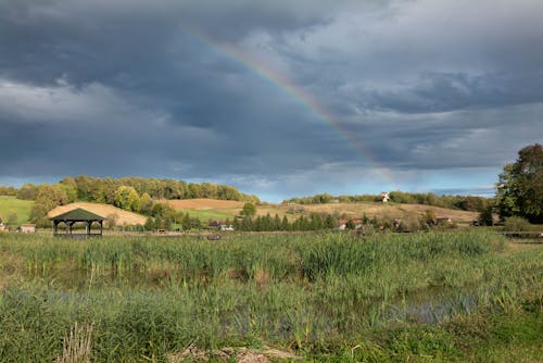 Fotos de stock gratuitas de arco iris, campo, césped