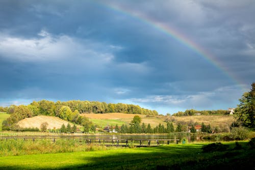 Gratis stockfoto met akkers, bomen, Bos