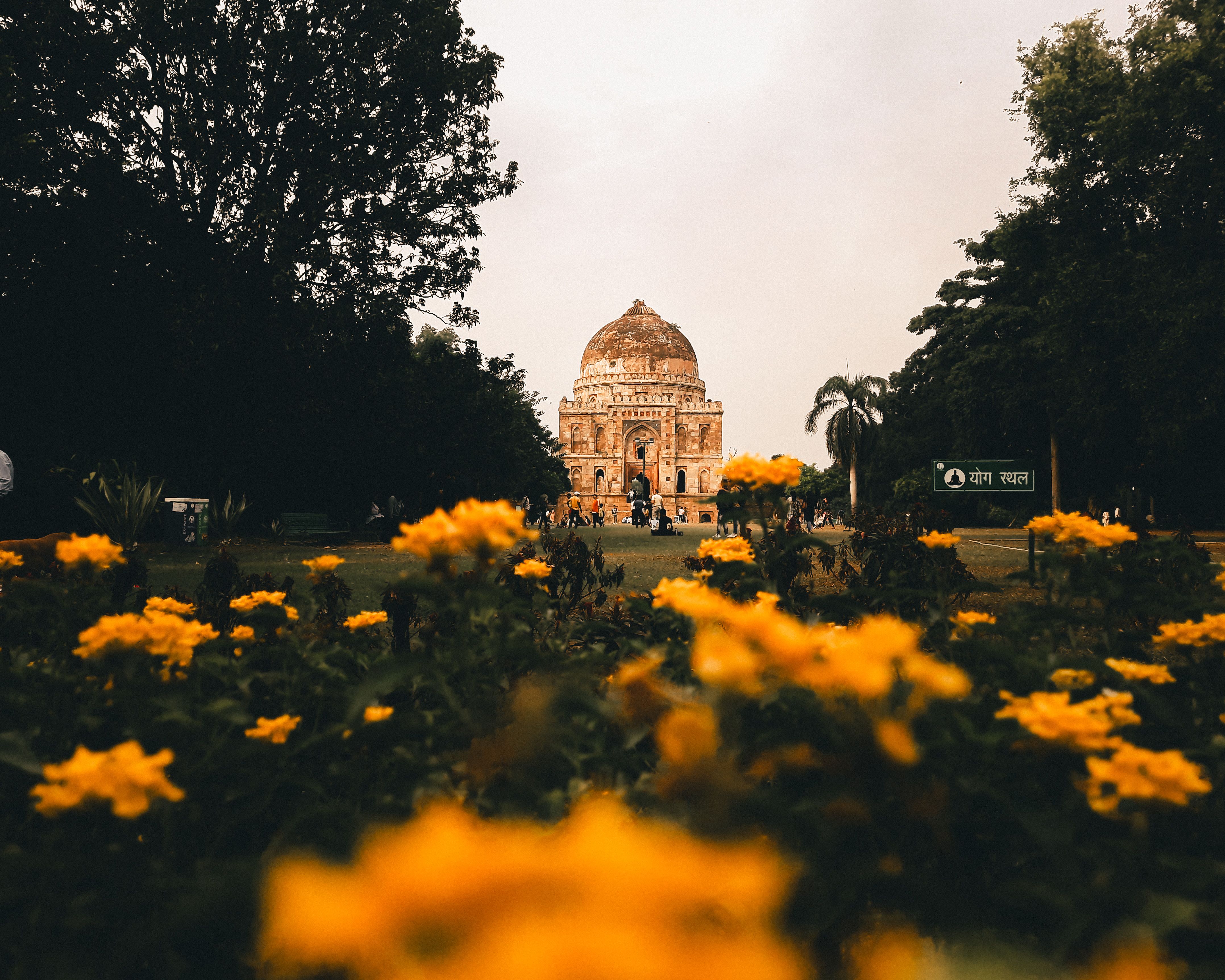 Chefe Ministra Rekha Gupta tau tiha fatuk dahuluk ba park oksijena iha Burari, Delhi, ho nia liman iha fatuk no oficial sira 