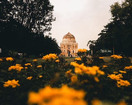 View of Flowers in a Park and the Bara Gumbad in New Delhi, India