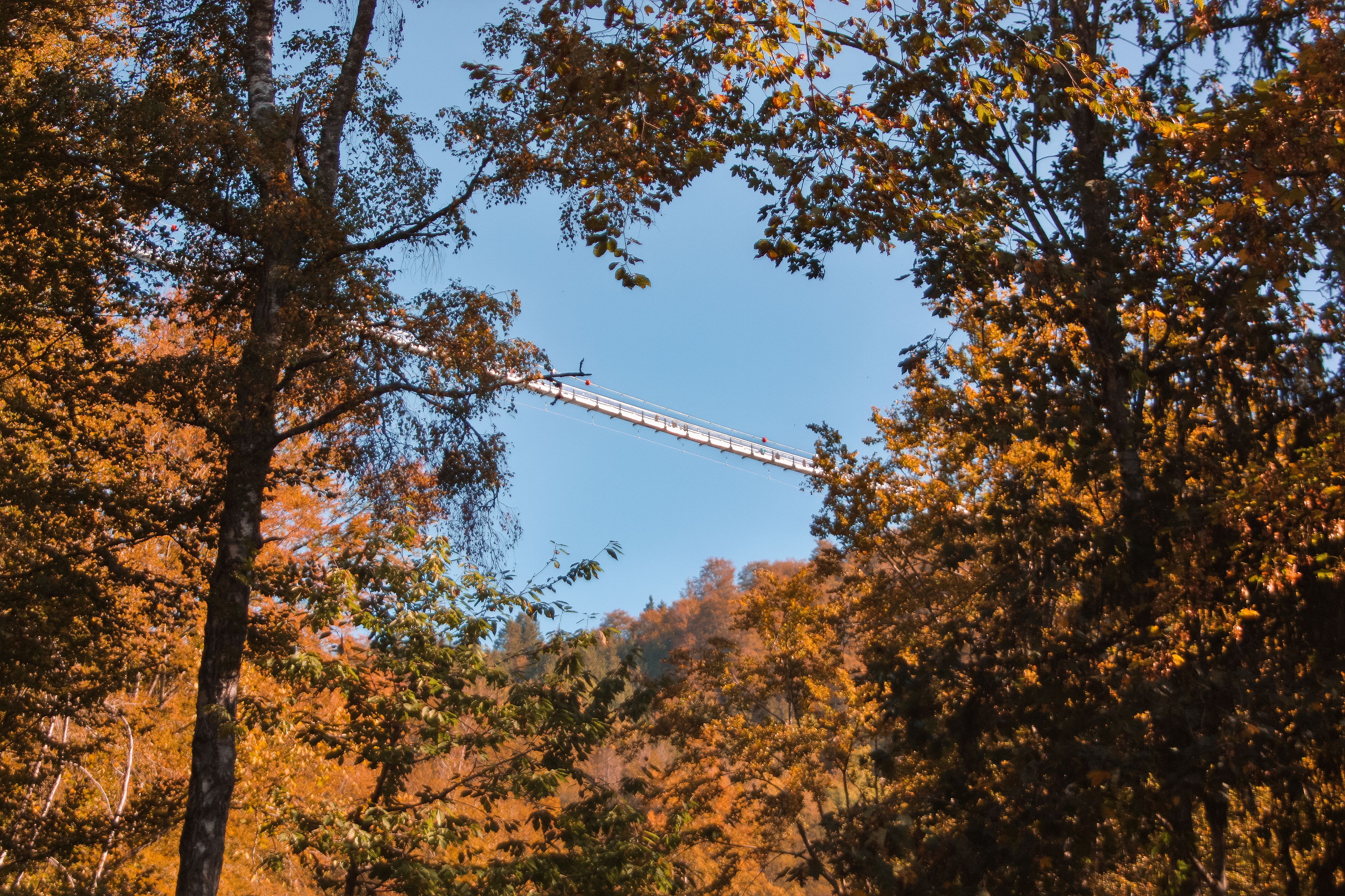 Todtnau — Todtnau
