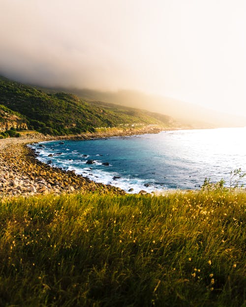 Island in Morning Mist