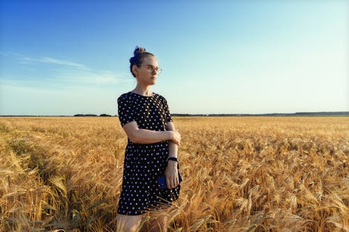 Free Person Standing in a Knee High Field Of Wheat Stock Photo
