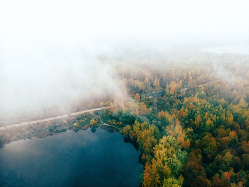 Drone Shot of a Body of Water and Autumnal Forest 