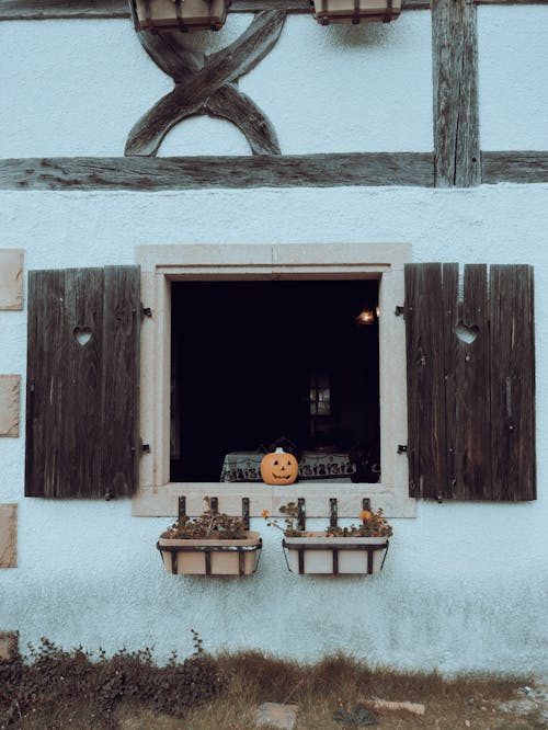 Pumpkin in Rural Window