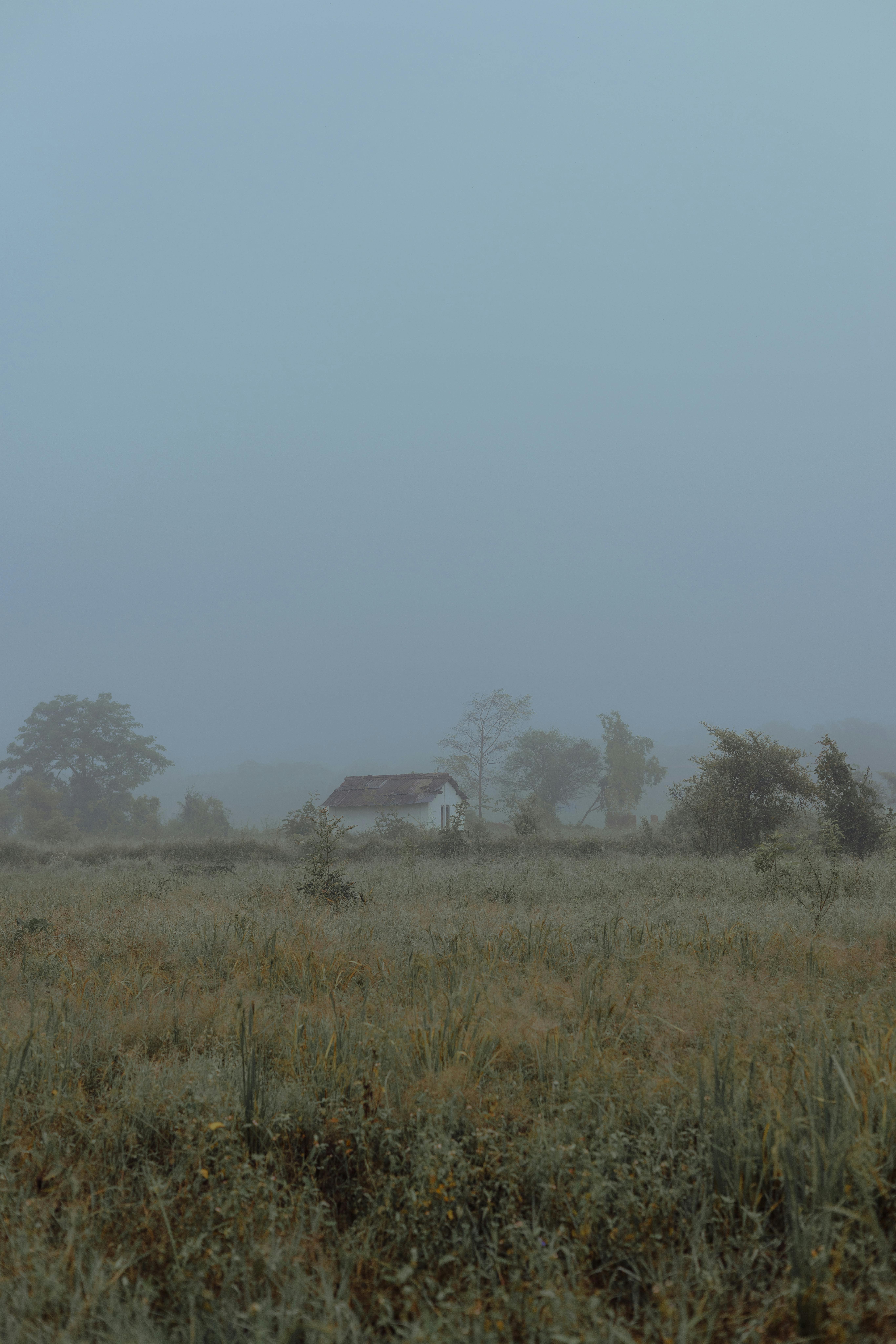 Serene countryside landscape enveloped in mist with a solitary house, creating a peaceful rural scene.