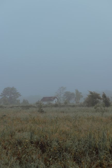 Serene countryside landscape enveloped in mist with a solitary house, creating a peaceful rural scene.