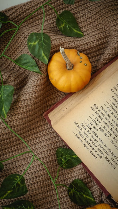 Leaves, Pumpkin and Book