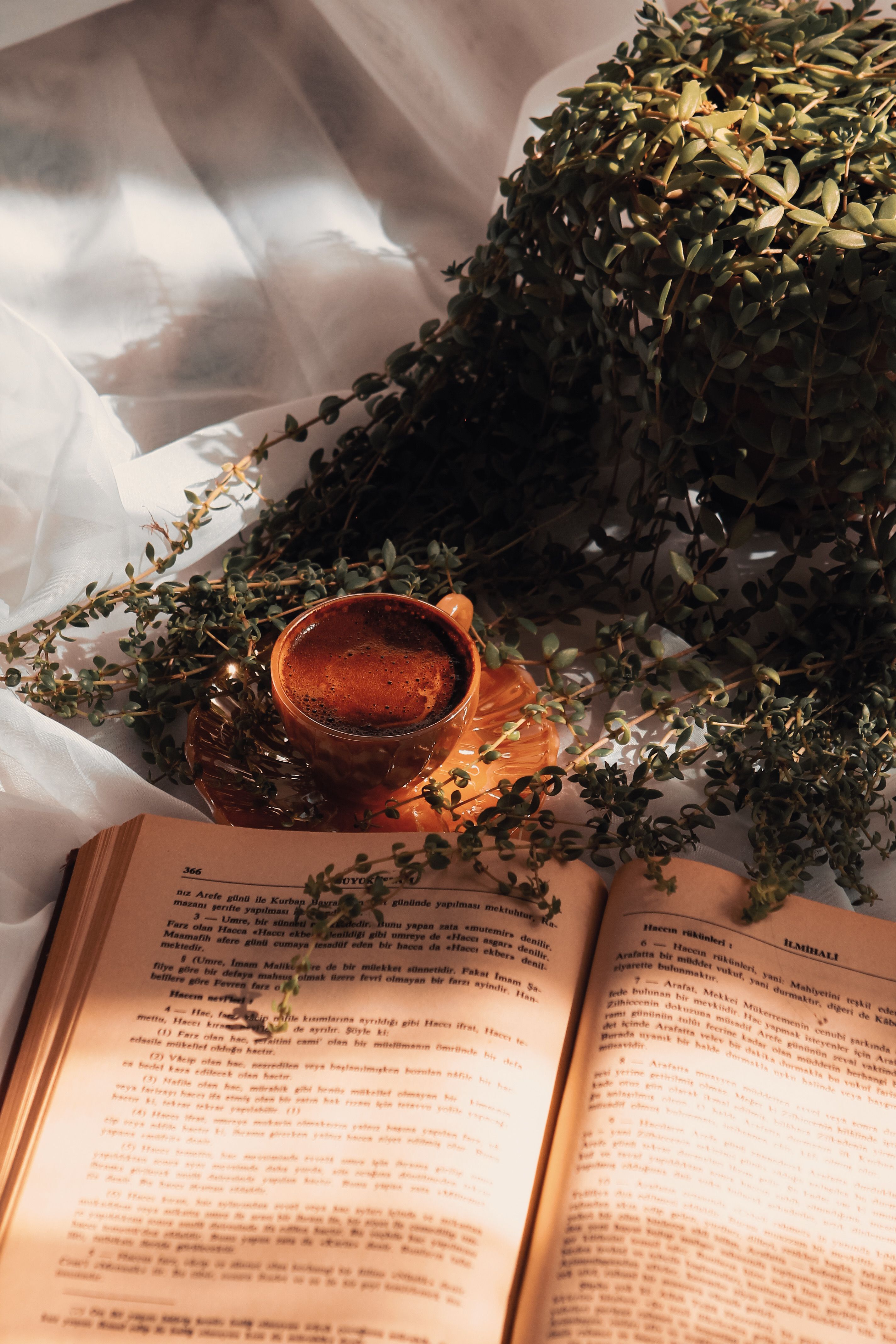 Small daily habits for quiet morning