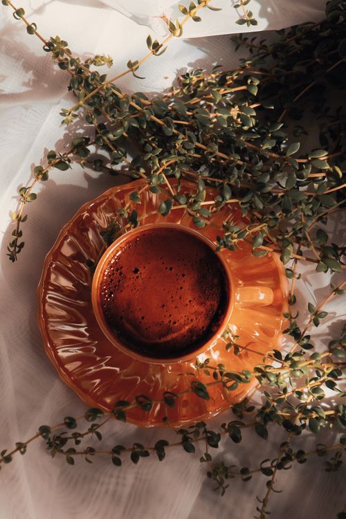 Free Top-down view of a ceramic cup filled with coffee surrounded by lush greenery on a cozy setup. Stock Photo